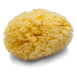Naturschwamm